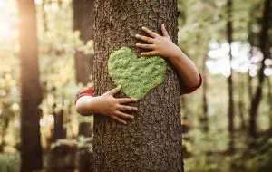 Hug a Tree