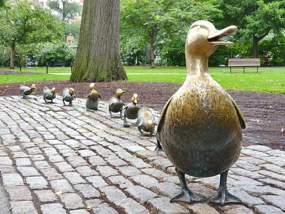 make way for the ducklings boston public gardens