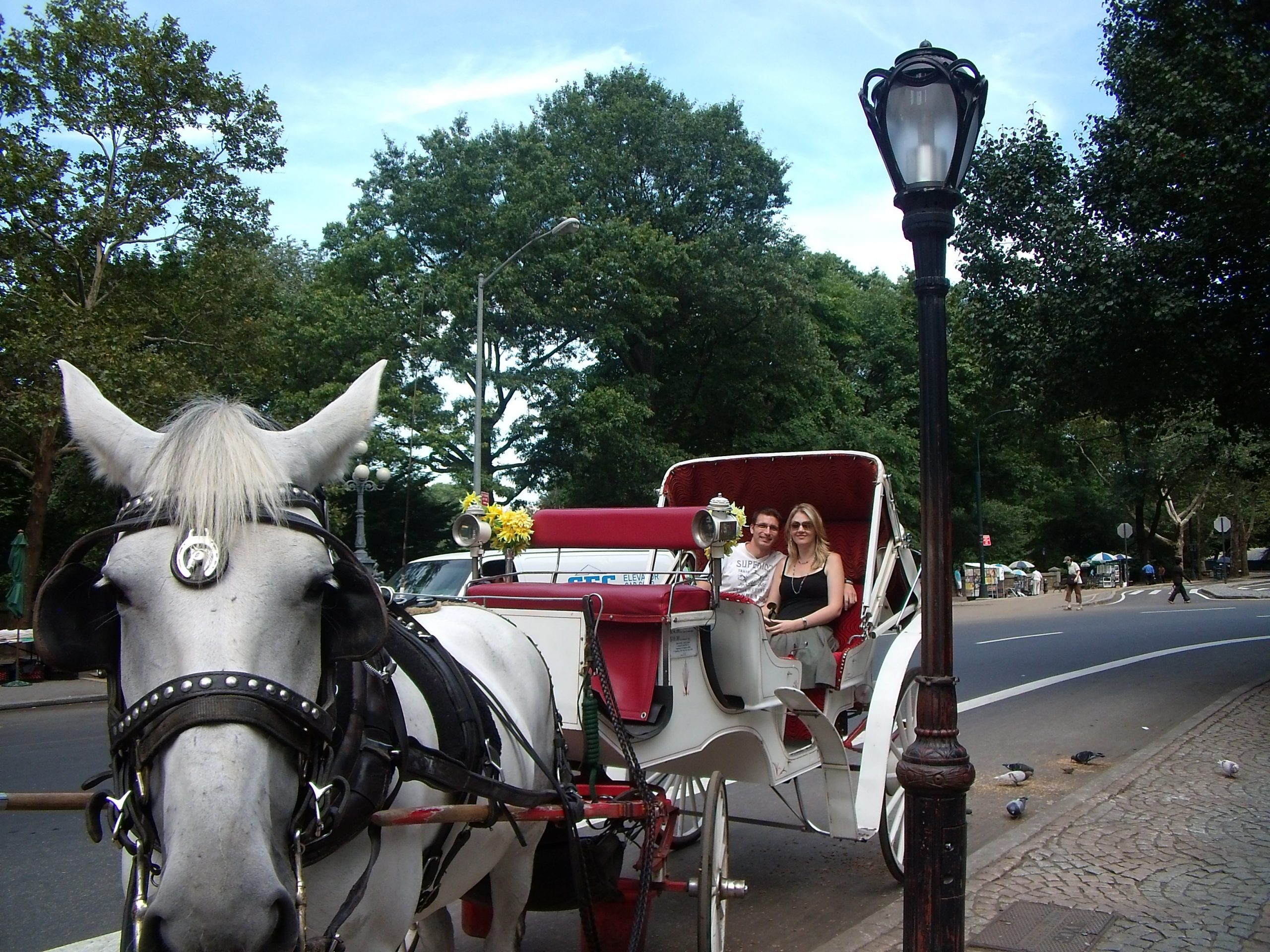 central park horse carriage ride new york city guide