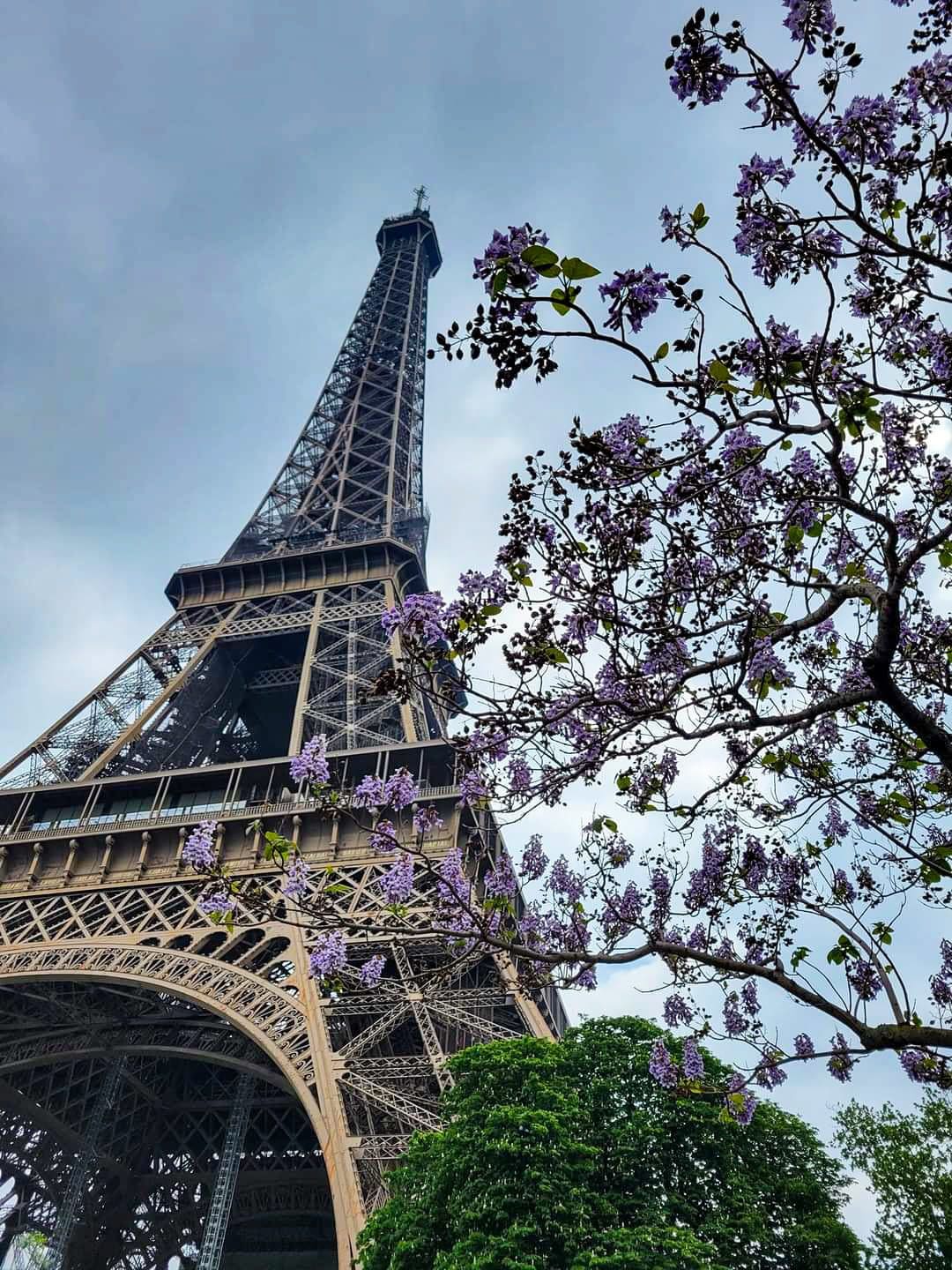 eiffel tower paris