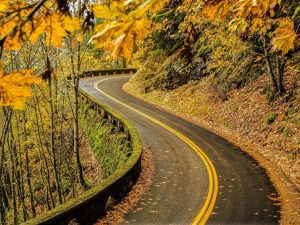Take a Scenic Road Trip to Watch Fall Leaves
