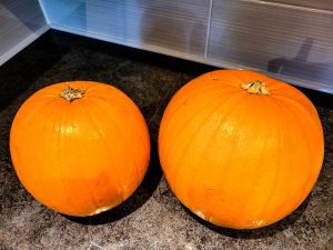 Picking Your Pumpkin for carving