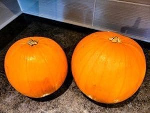 Picking Your Pumpkin for carving