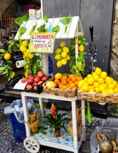 Getting to Naples from Other Parts of the Amalfi Coast