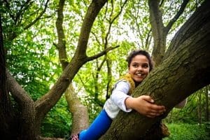 climb a tree